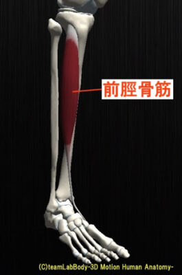 F89BE2F5 9FD3 4B31 937E B48DC1BE8CA4 350 0000003DA14DC377 tmp