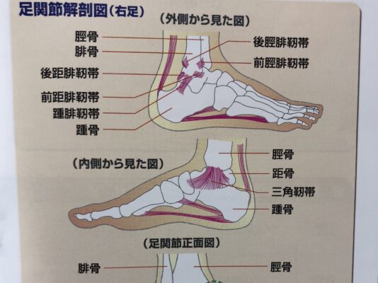 E40099B6 56CE 4BB7 B9FA BFCADCBDB9BE